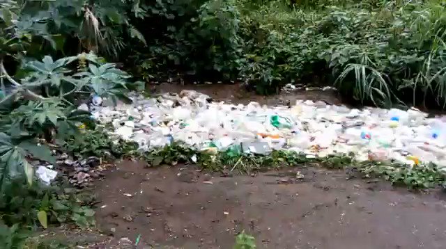 Rivière de déchets